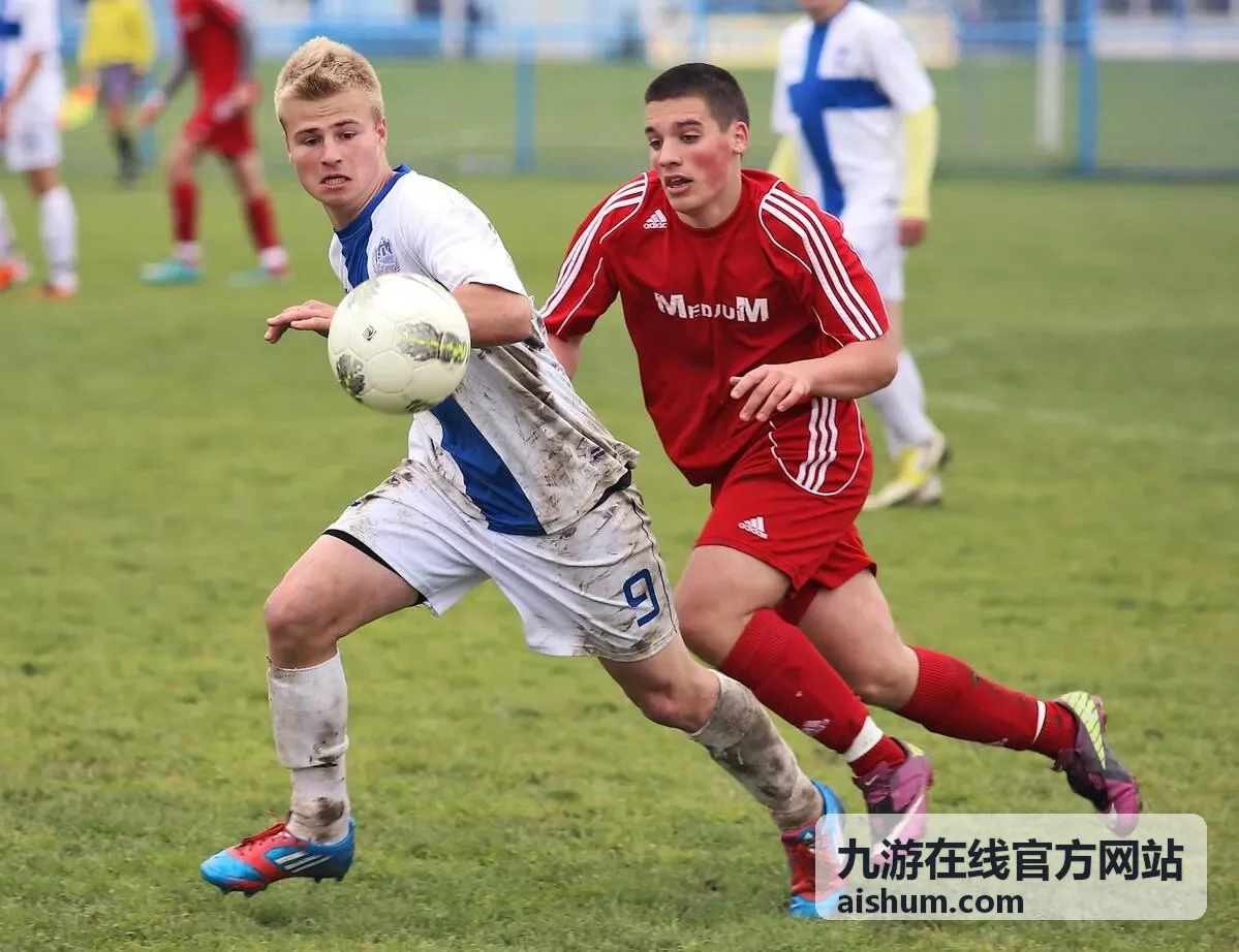 九游在线官方网站推荐手游苍岚纪竖版封面